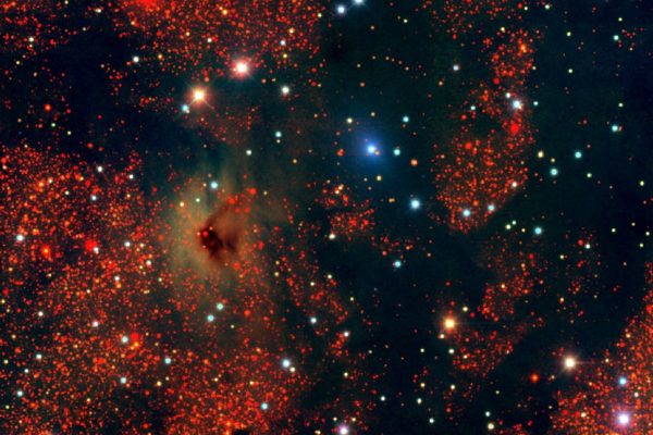 The dark regions show very dense dust clouds. The red stars tend to be reddened by dust, while the blue stars are in front of the dust clouds. These images are part of a survey of the southern galactic plane. Image credit: Legacy Survey / NOAO, AURA, NSF.