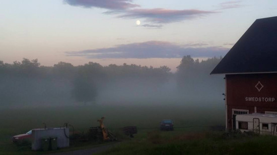 Misty summer evening lit by the full moon at our lodgings at Smedstorp