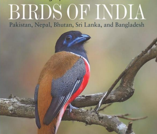 research paper on birds in india