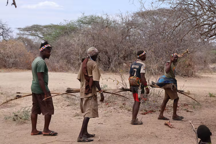 Most Hadza hunting is done solo, but the meat is shared with everyone. Duncan Stibbard Hawkes