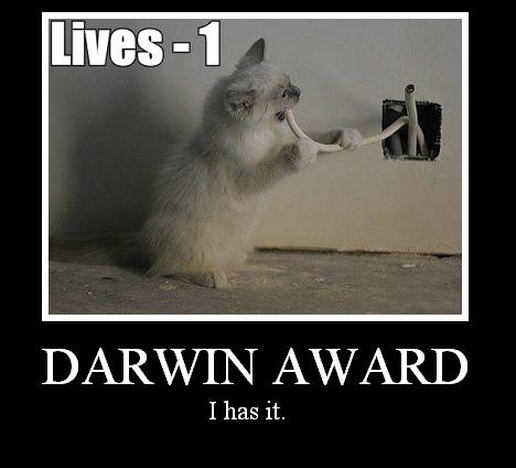 Darwin award