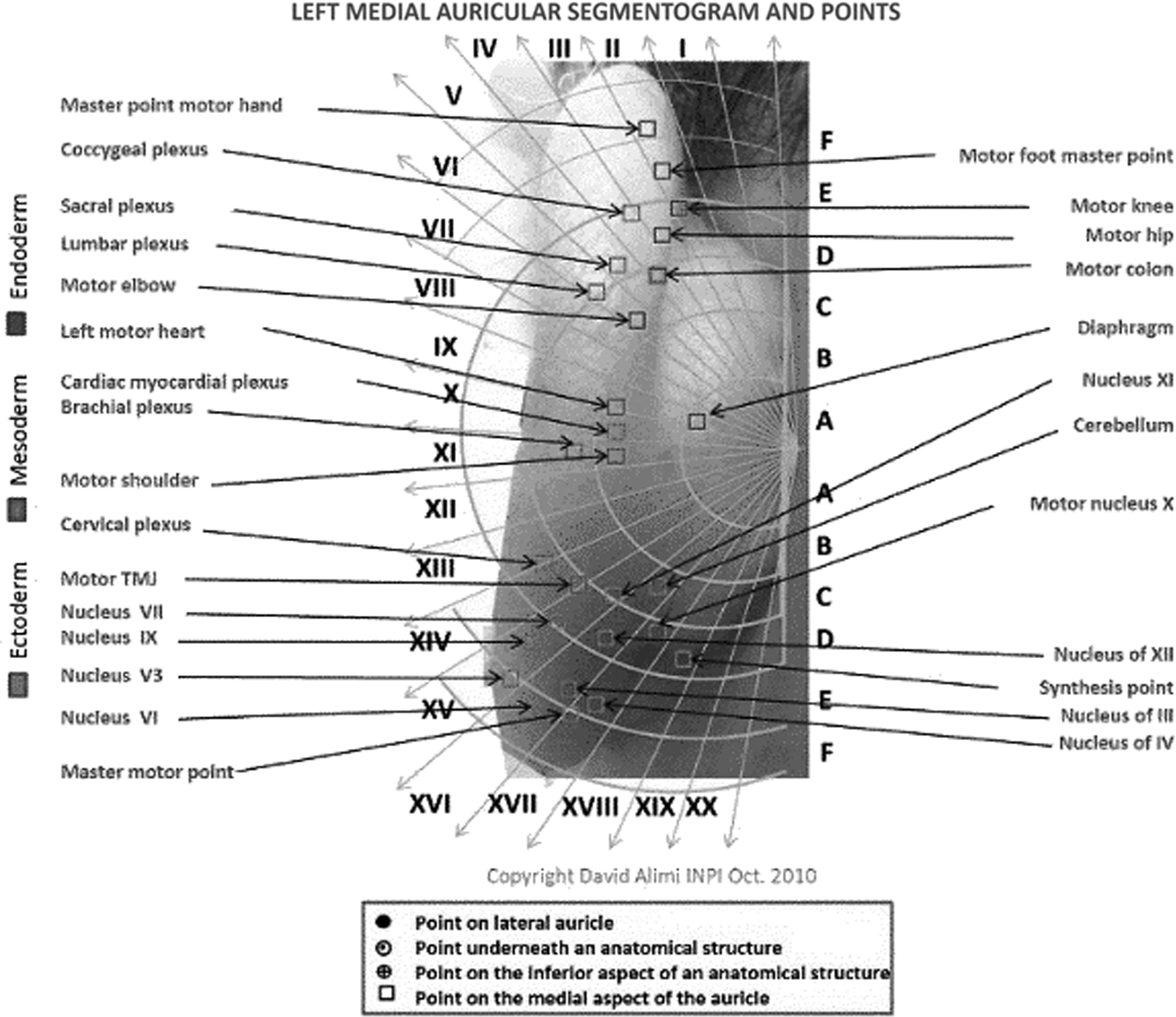 A new nomenclature for auricular acupuncture: The ultimate in Tooth Fairy s...
