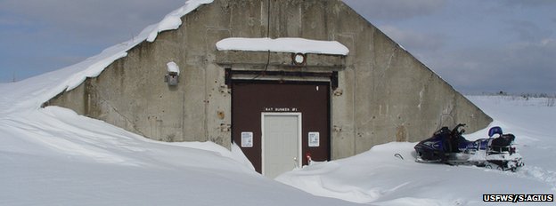 A Cold War bunker at Loring Air Force Base in Maine that has been converted into a winter haven for bats. Image from: BBC News, USFWS/S. Agius