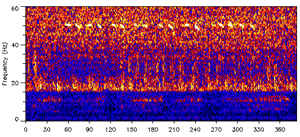 Image of the 52 Hertz whale song from Wikimedia Commons, NOAA. 