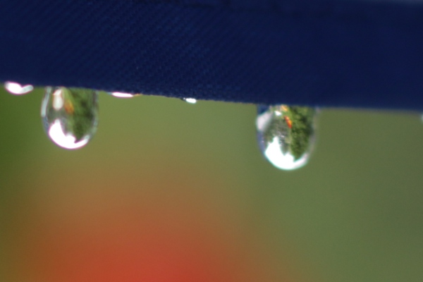 Close-up of the water drops, to show the images more clearly.
