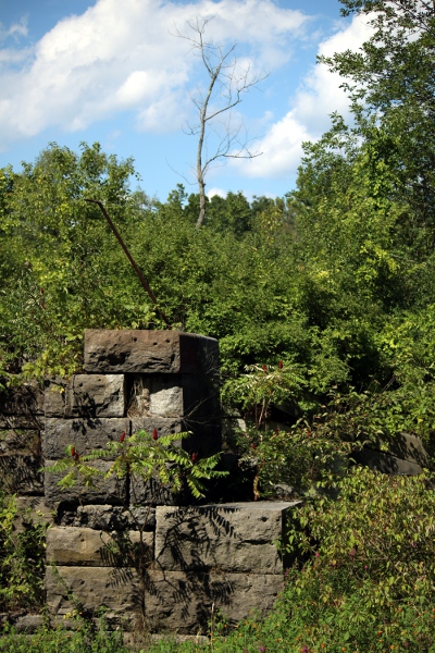 Part of the old Lock 19 from the Erie Canal, cosplaying as a ruined Mayan temple.