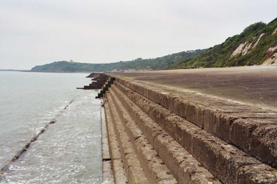 Miracle Beach Tide Chart