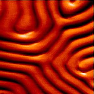 magnetic_domain_walls_1_300