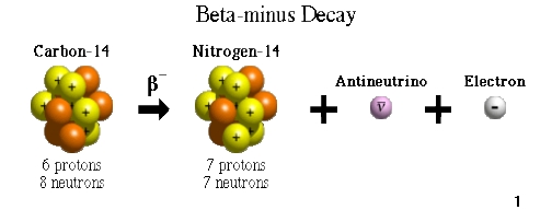 Carbon-14 Decay