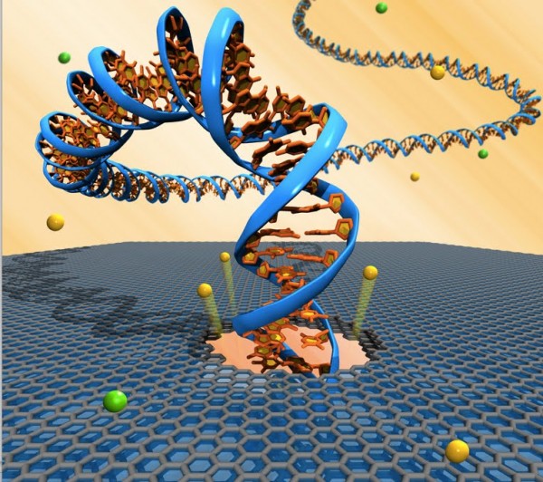 DNA + Nanotubes