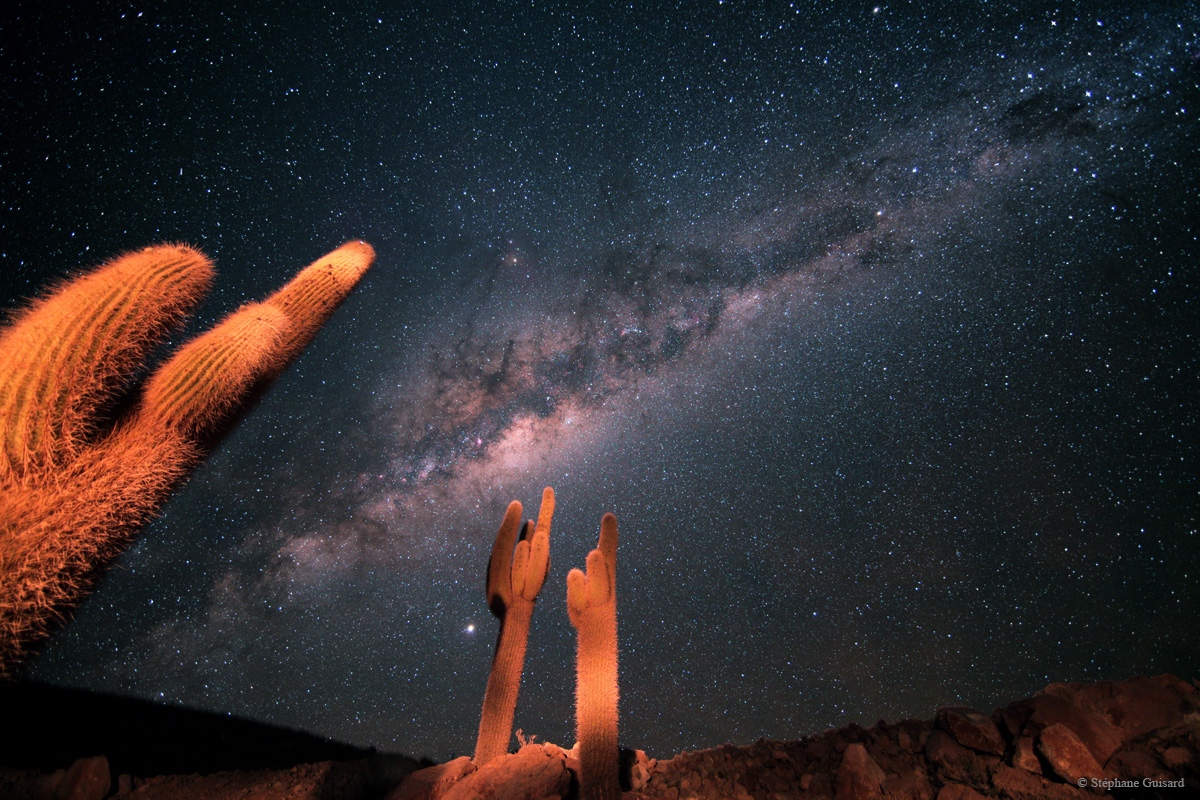 What is this all about? | ScienceBlogs - Vimarsana News