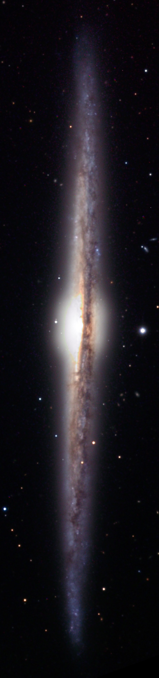 NGC 4565 by Joseph D. Schulman
