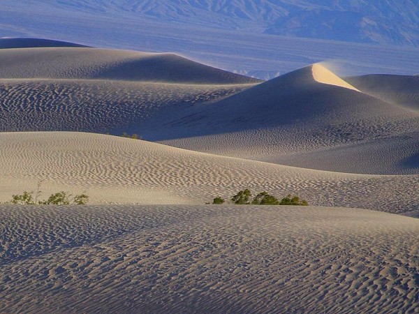 Desert Sand Dunes Tracks