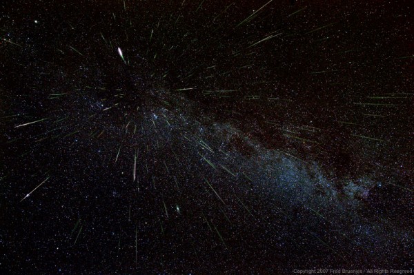253 meteors from the 2007 Perseids