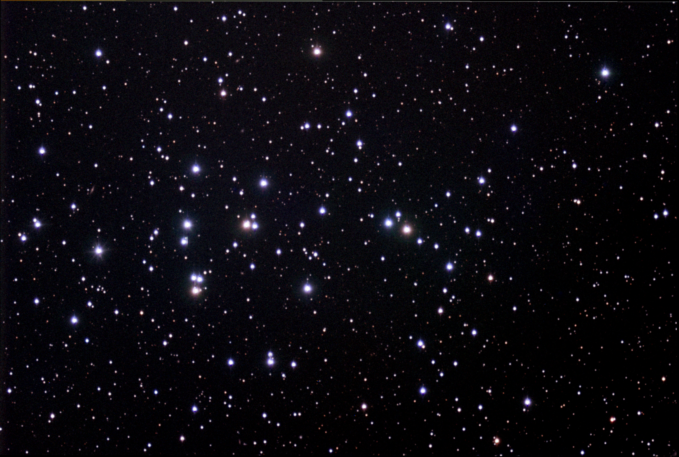 Messier Monday: The Beehive Cluster / Praesepe, M44 