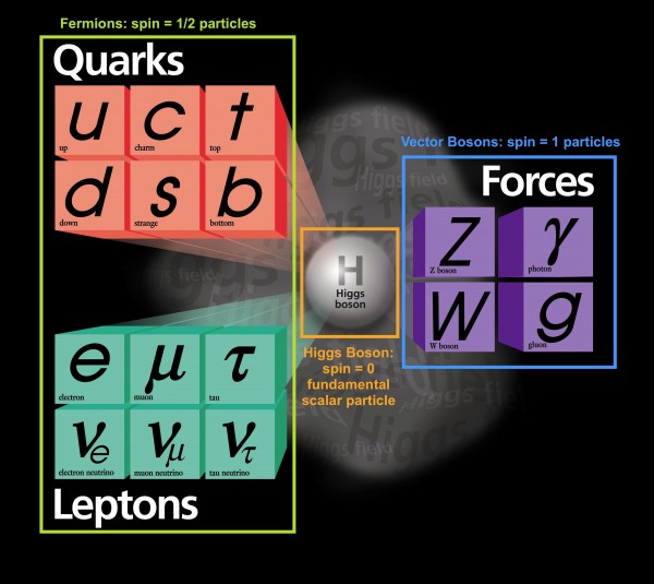 Image credit: The standard model by Fermilab, modifications by me.