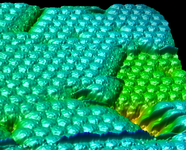 Image credit: a Virus Crystal from Alex MacPherson's Lab, via http://www.cgl.ucsf.edu/.