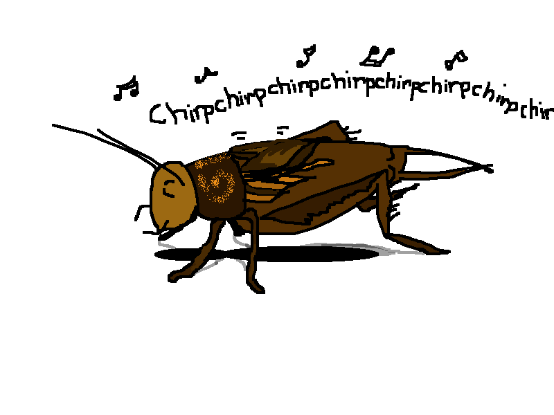 Weekend Diversion: Is this an amazing chorus of slowed-down crickets? |  ScienceBlogs