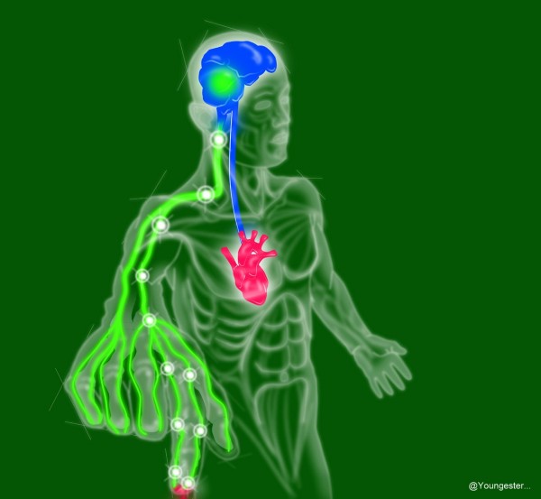 Electricity flowing through the human body. Image credit: Youngester of http://technicalstudies.youngester.com/.