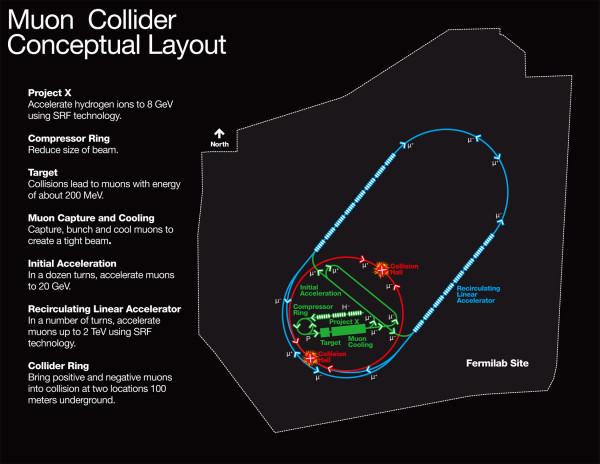 Image credit: Fermilab, via http://www.symmetrymagazine.org/breaking/2009/11/19/what-a-muon-collider-could-look-like.
