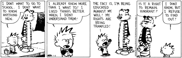 Image credit: Bill Watterson.