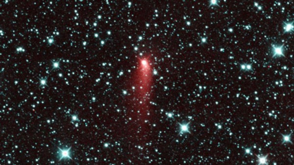 Image credit: NASA / JPL-Caltech, NEOWISE.