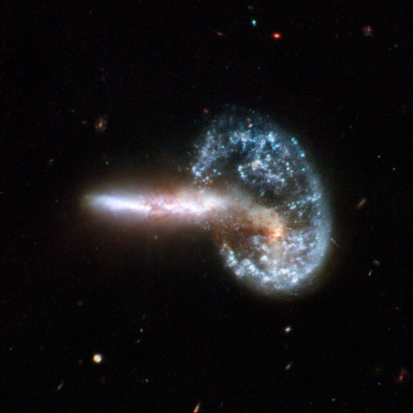 Arp 148. Image credit: NASA, ESA, the Hubble Heritage (STScI/AURA)-ESA/Hubble Collaboration, and A. Evans (University of Virginia, Charlottesville/NRAO/Stony Brook University).