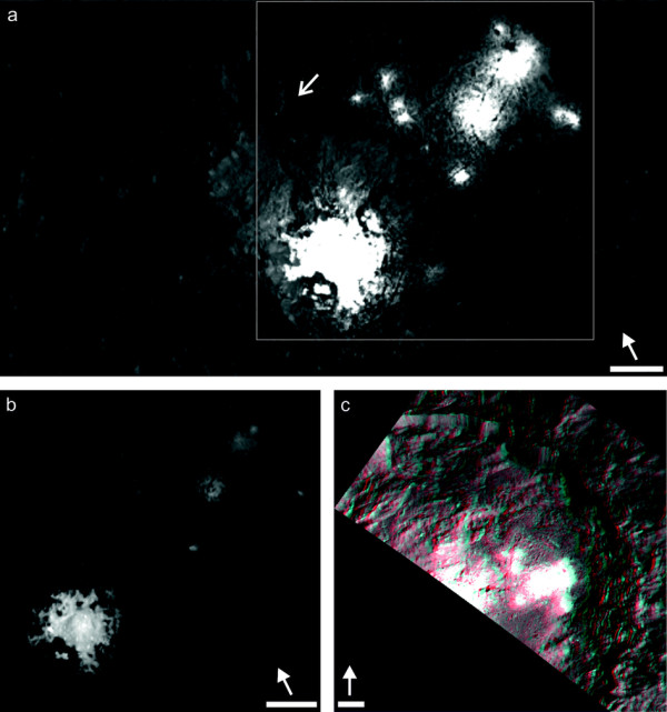 Image credit: NASA/JPL-Caltech/UCLA/MPS/DLR/IDA, from A. Natheus et al. (2015), Nature 528, 237–240.