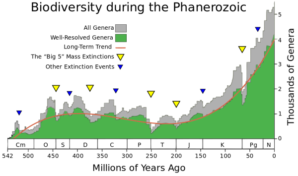 Image credit: Wikimedia Commons user Albert Mestre, with data from Rohde, R.A., and Muller, R.A. (2005-03). “Cycles in fossil diversity”. Nature 434: 208-210.