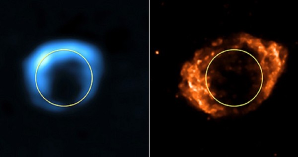 Images credit: X-ray (NASA/CXC/NCSU/S.Reynolds et al.); Radio (NSF/NRAO/VLA/Cambridge/D.Green et al.); Infrared (2MASS/UMass/IPAC-Caltech/NASA/NSF/CfA/E.Bressert), of the supernova remnant in 1985 (L) and 2007/8 (R).