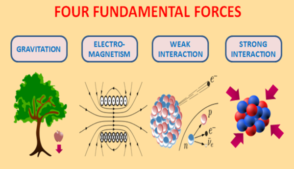 The four fundamental forces. Image credit: Wikimedia Commons user Kvr.lohith, under a c.c.a.-s.a. 4.0 international license.
