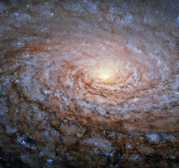 The Sunflower Galaxy, Messier 63, tilted relative to our line-of-sight, with one half clearly appearing dustier than the other. Image credit: ESA/Hubble & NASA.
