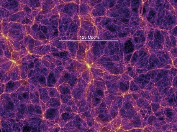 Numerical simulation of the density of matter when the universe was 4.7 billion years old. Galaxy formation follows the gravitational wells produced by dark matter, where hydrogen gas coalesces, and the first stars ignite. This pattern in the Universe requires dark matter to match what's observed. Image credit: V. Springel et al. 2005, Nature, 435, 629