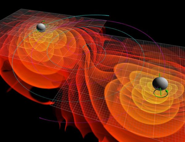 Any object or shape, physical or non-physical, would be distorted as gravitational waves passed through it. Note how no waves are ever emitted from inside the black hole's event horizon. Image credit: NASA/Ames Research Center/C. Henze.