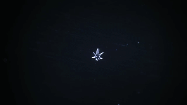 The formation and growth of a snowflake, a particular configuration of ice crystal. Image credit: Vyacheslav Ivanov, from his video at Vimeo: http://vimeo.com/87342468.