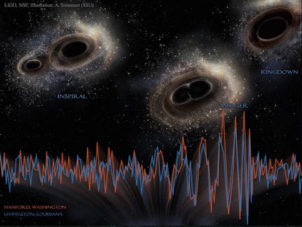 Merging black holes are one class of objects that creates gravitational waves of certain frequencies and amplitudes. Thanks to detectors like LIGO, we can 'hear' these sounds as they occur. Image credit: LIGO, NSF, A. Simonnet (SSU).