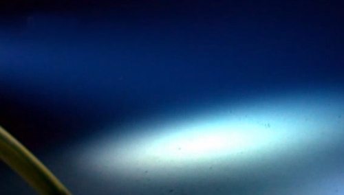 I Want To Live In A Bathysphere | ScienceBlogs - Vimarsana News